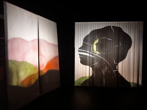 Théâtre d’ombres des Lueurs : silhouette d’un visage projetée sur un écran, à côté d’un paysage peint