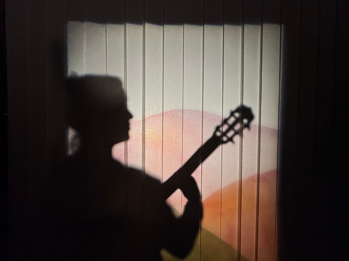Les Lueurs : ombre d’un musicien à la guitare projetée sur un écran, devant un paysage peint